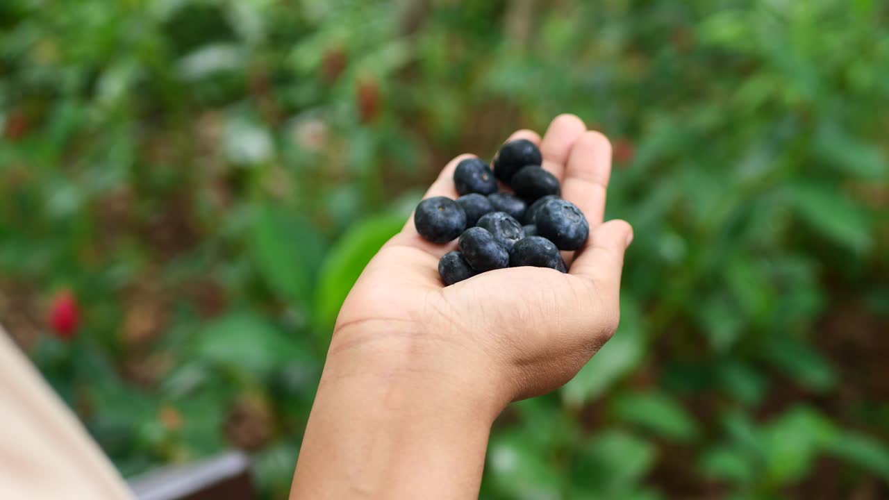 물방울 이 있는 신선 한 파란색 베리 의 클로즈업