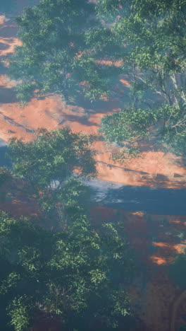 misty australian outback landscape