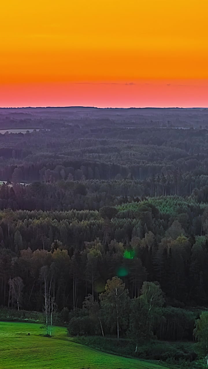 Timelapse aereo verticale cattura un'alba infuocata arancione e rosa che risplende su una foresta in silhouette e campi verdi nella Lettonia rurale