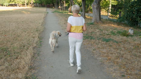 una mujer mayor paseando a su perro en un parque