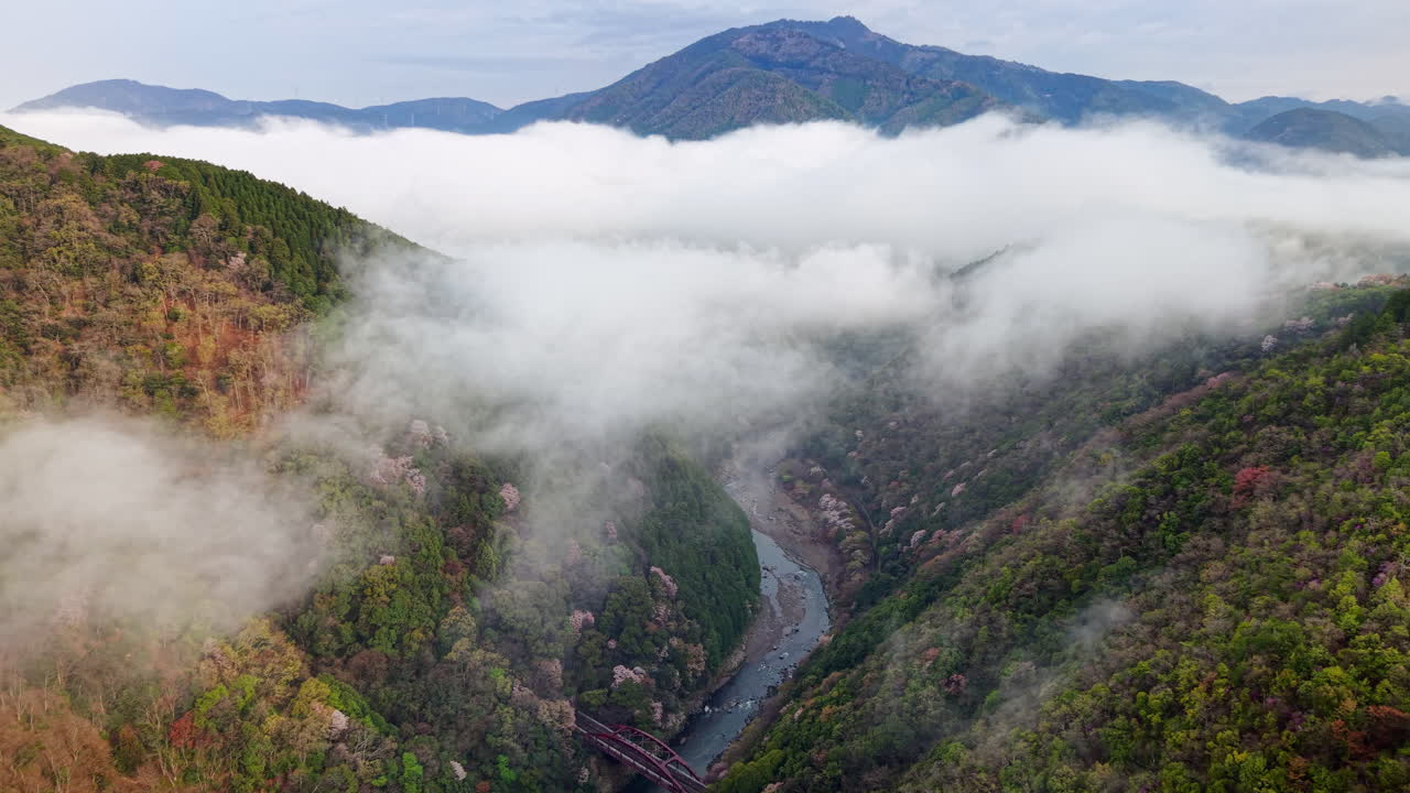 Aerial drone view of the Katsura River in Arashiyama, Japan in daylight