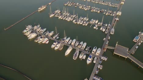 marina at dawn