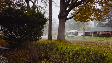Dense-fog-over-a-yard-of-Oak-Trees-in-early-Fall