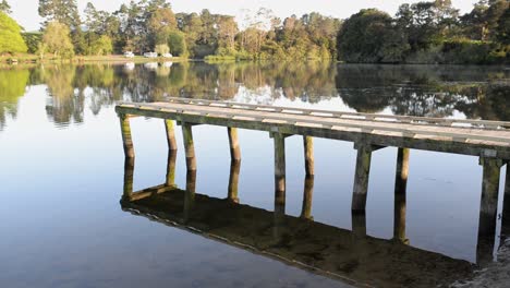 Jetty-reaching-out-on-a-crystal-clear-lake-on-a-calm-morning-in-northern-New-Zealand