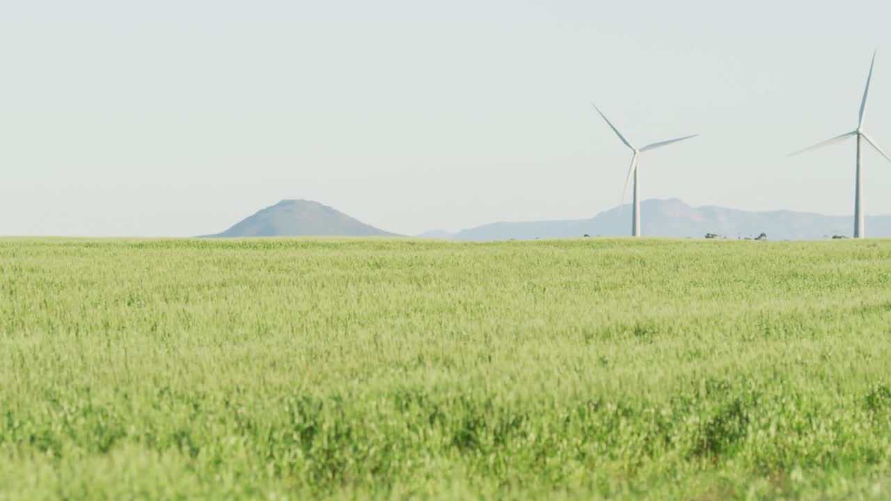 구름 없는 하늘을 가진 시골 풍경에서 풍력 터빈의 일반적인 모습