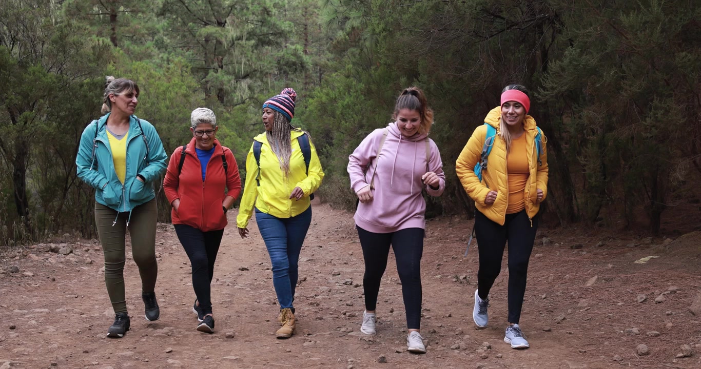 Gruppo di donne diverse che fanno escursioni insieme su un sentiero nel bosco