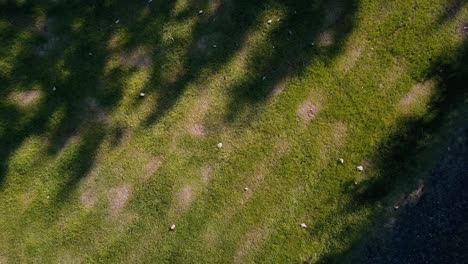 Drone-climbing-looking-down.-MavicPro