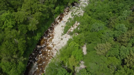 Vista-Rápida-De-Pájaro-A-La-Amplia-Vista-Del-Río-Y-Los-árboles-En-Vermont,-EE.UU.