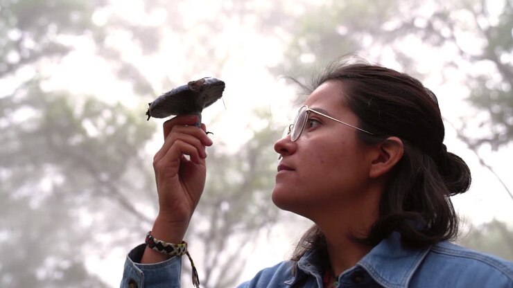 Donna con un fungo lattario indaco nella foresta.