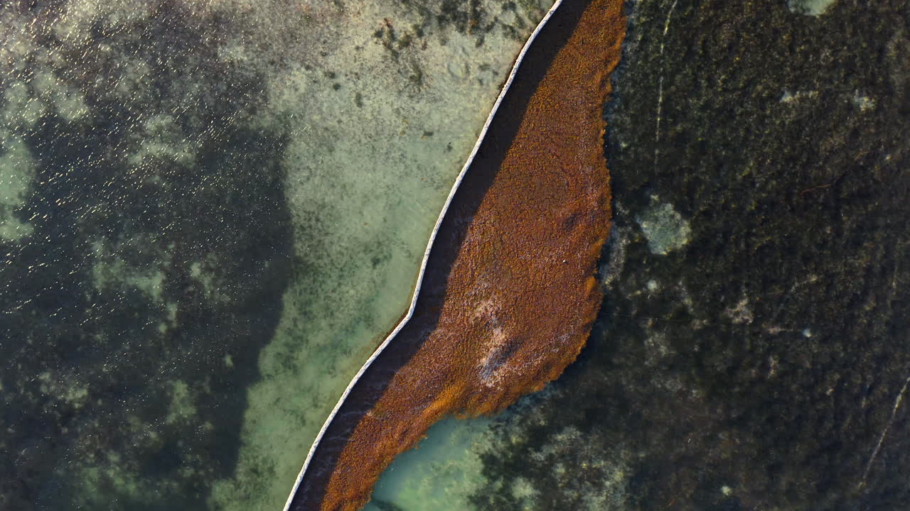 algas marrones oxidadas en el mar retenidas por una barrera marina flotante, sobrecarga