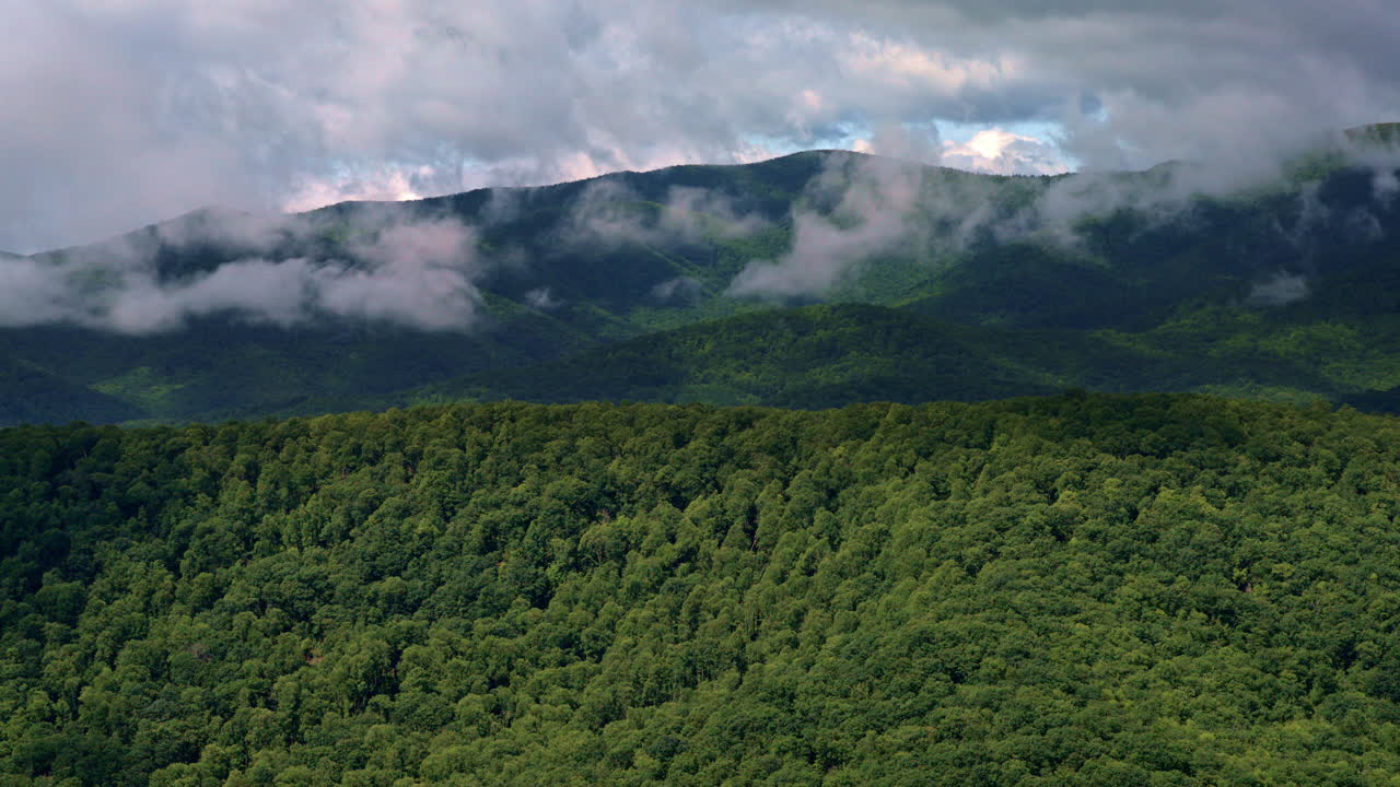 Majestic drone shot of clouds blanketing the misty Smokies