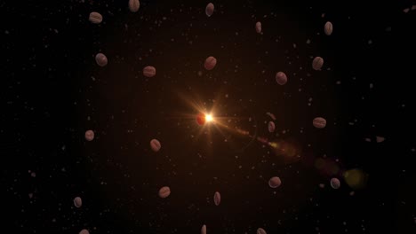 coffee beans flying loop animation