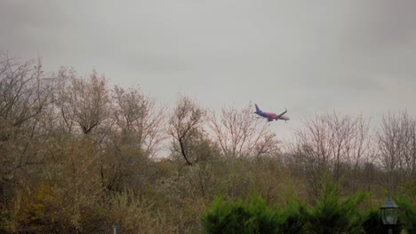 passenger aircraft before landing flying at low altitude over a forest