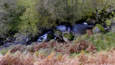 a welsh stream with rocks and stones with water flowing over the