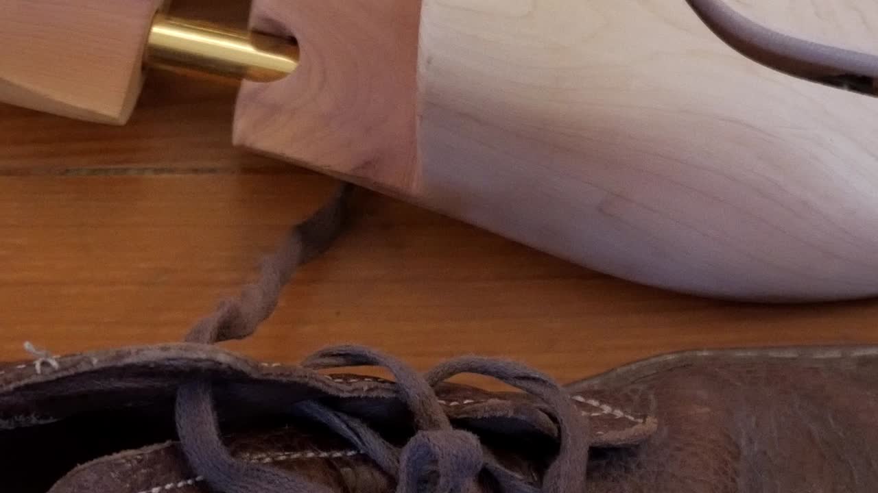 Brown shoe with laces and shoe tree, represents care and maintenance