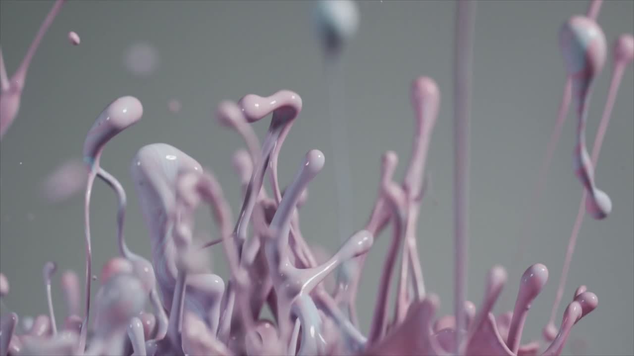 Vibrant Pink and Blue Paint Splashing in Slow Motion