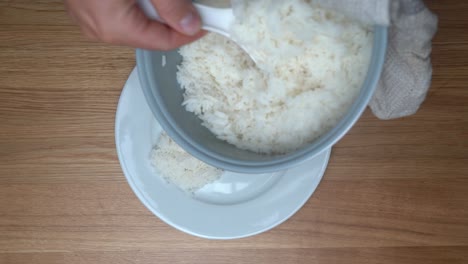 freshly cooked rice from the rice cooker is served on a plate