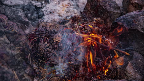 Ein-Feuer-Machen,-Tee-Erhitzen-Und-Eintopf-Kochen-Auf-Einem-Campingplatz---Zeitraffer