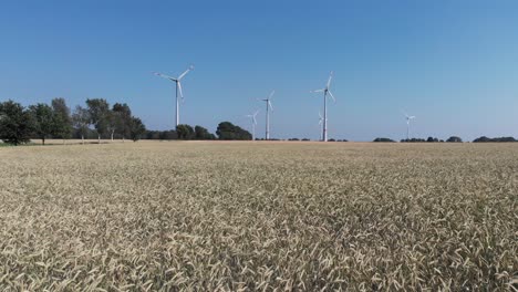 Energías-Renovables-Y-Agricultura