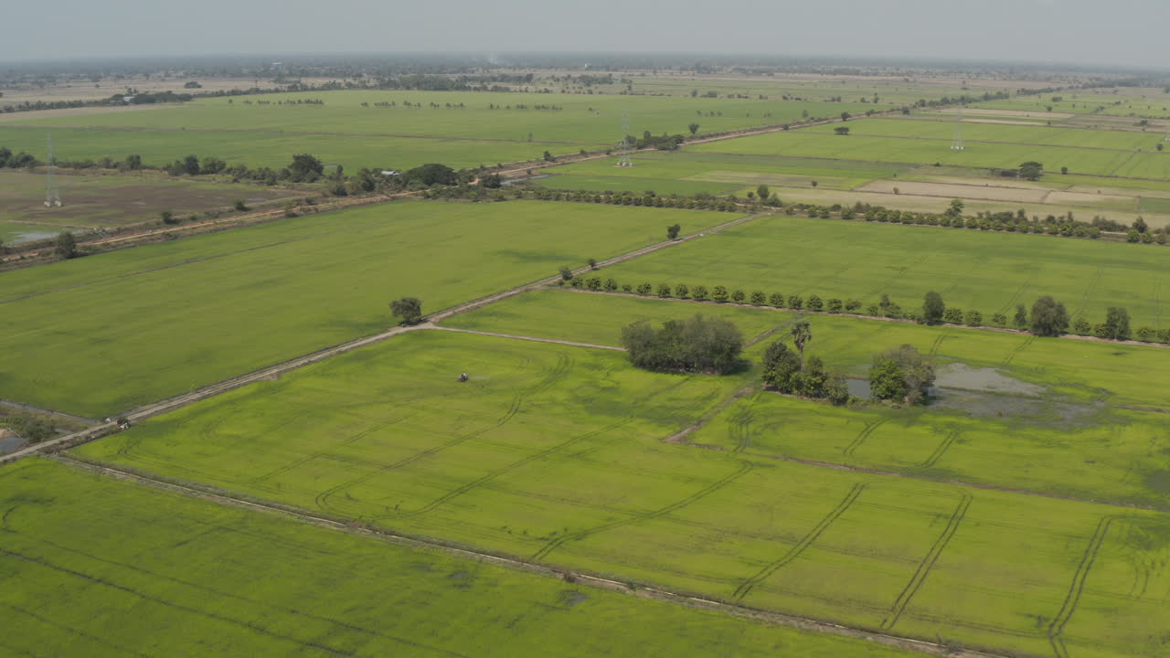 flying over a Farmer spraying pesticides on rice field in Cambodia