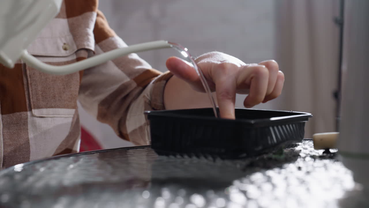 Hand of woman gardening indoors pressing seed medium with fingertip while pouring water from slender spout watering can into plastic container on glass table nurturing plant care ritual