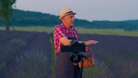 Senior-man-grandfather-blogger-recording-video-vlog-tutorial-in-field-of-lavender-flowers-garden