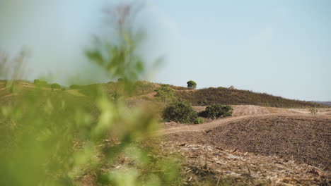 在葡萄牙阿爾加維 (algarve) 的乾燥,荒涼的地形中,