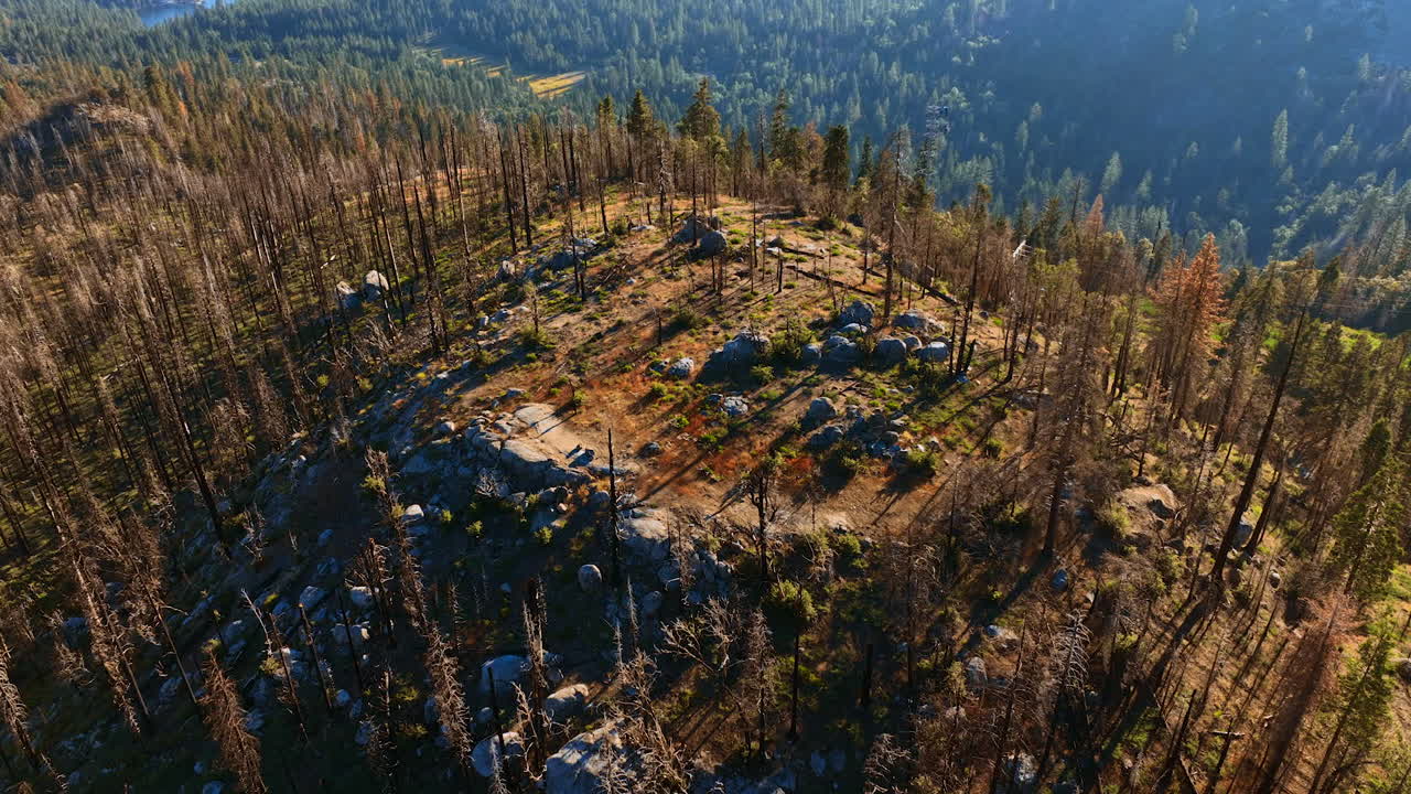 Rising above the plain top of the mount with dry pine trees on. Gorgeous greenery in the scenery at backdrop.