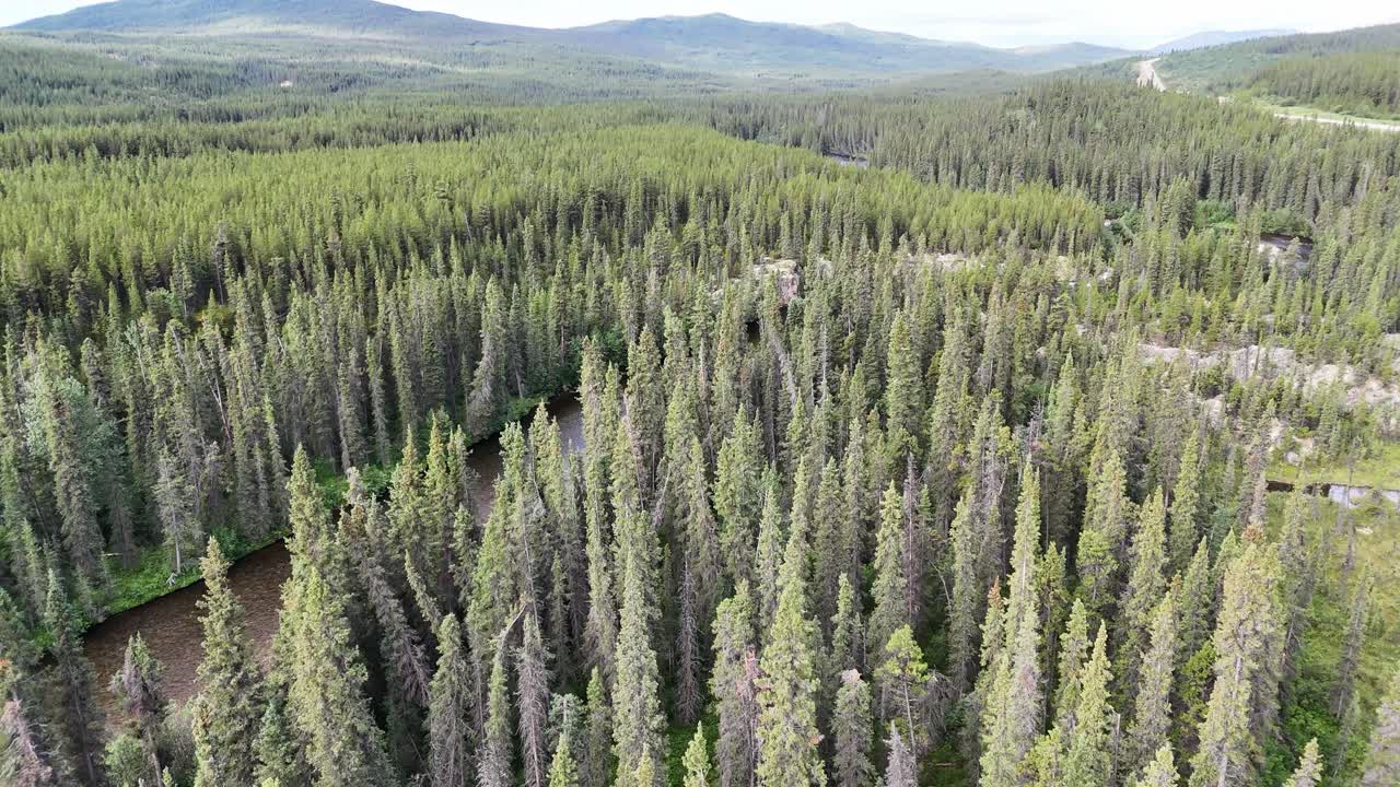 An aerial perspective reveals an immense evergreen forest covering rolling hills, with a distant road hinting at human presence within the vast natural landscape in Canada