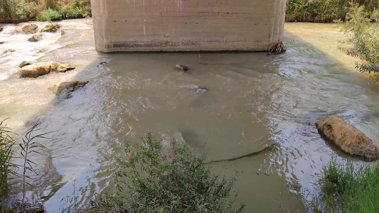 Flowing River Water Under Concrete Bridge Support