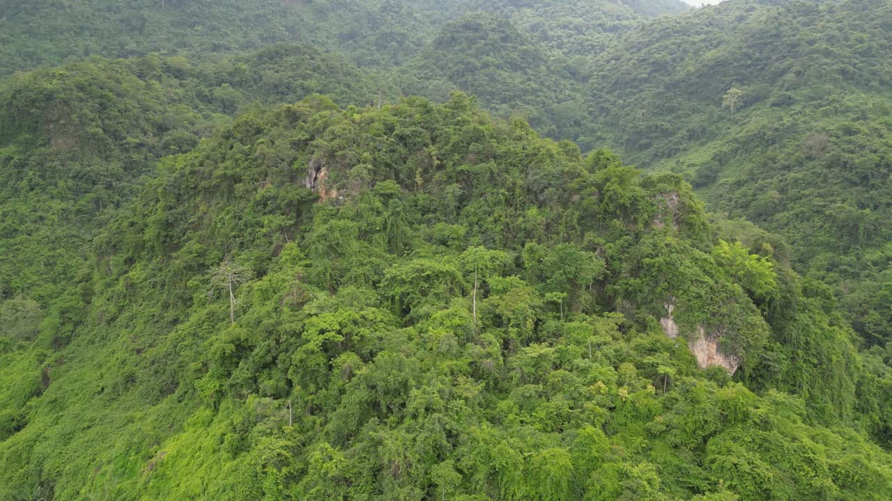 la densa jungla en el remoto norte de tailandia