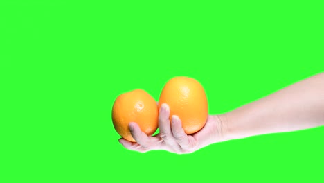 hand holding orange isolated on green screen background