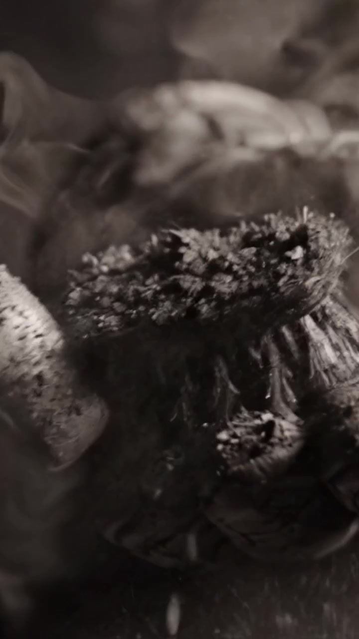 Close-Up Exploration of Textured Brushes Highlighting Artistic Details and Craftsmanship in Black and White Imagery, Evoking Depth and Emotion in Every Stroke