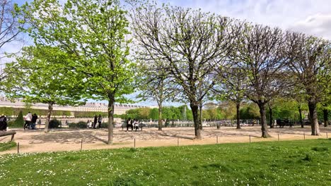 gente caminando en el jardín de las tuileries, parís