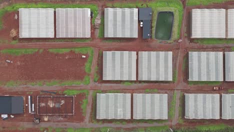 aerial footage showcasing a large-scale greenhouse horticulture operation in misiones, argentina, capturing the vastness of the production area