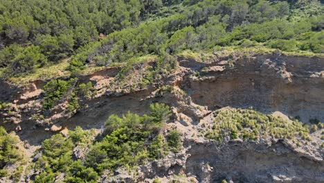 discover the impressive natural beauty of coll baix near puerto de alcudia in majorca. the landscape features rocky cliffs, lush greenery, and stunning coastal views perfect for outdoor adventures.