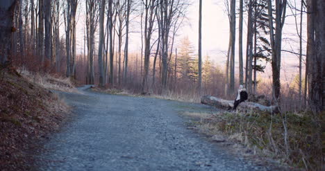 female tourist walking on a trail in mountains 1