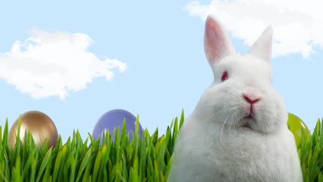 animación del conejo de pascua con huevos de pascua y hierba sobre el cielo azul