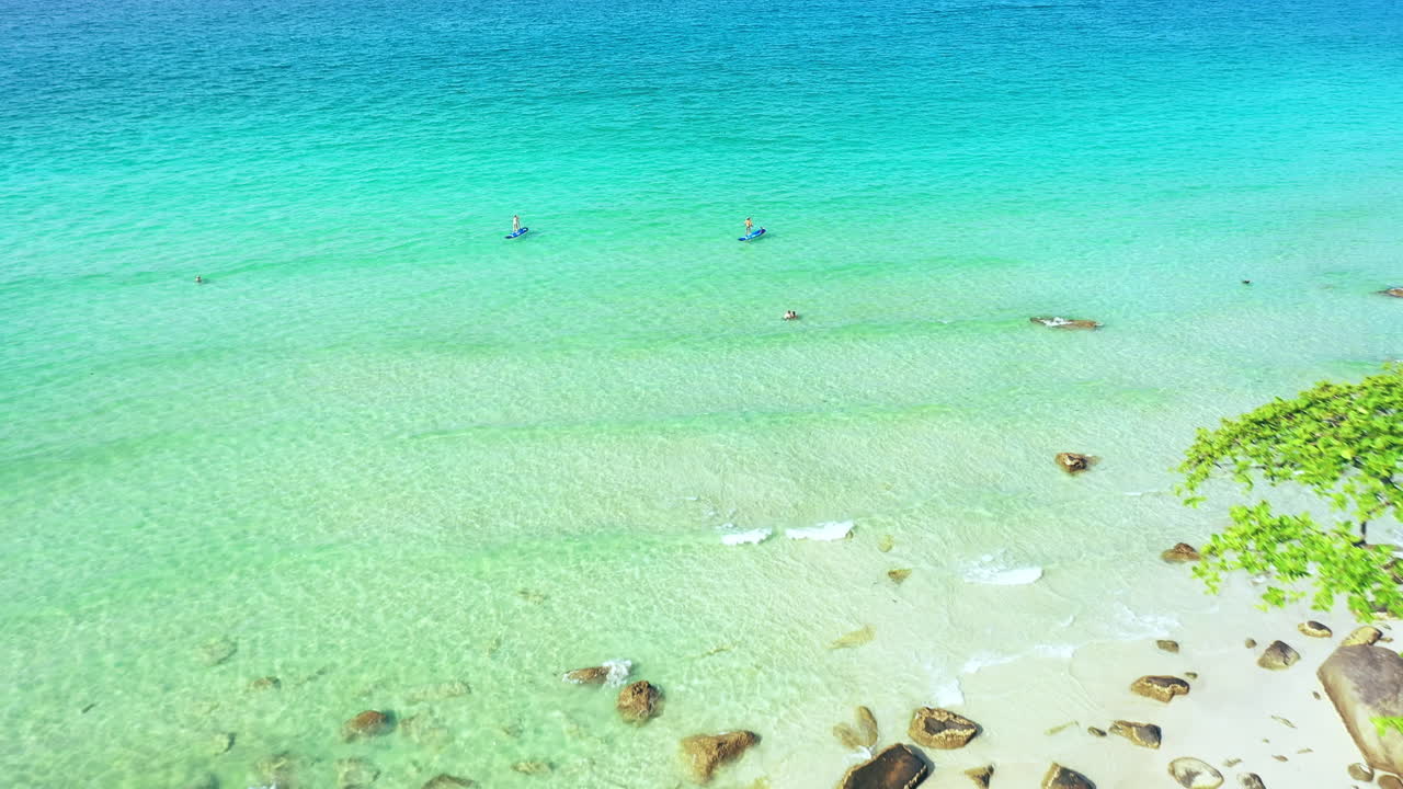 패들 보딩은 새로운 서핑입니다.