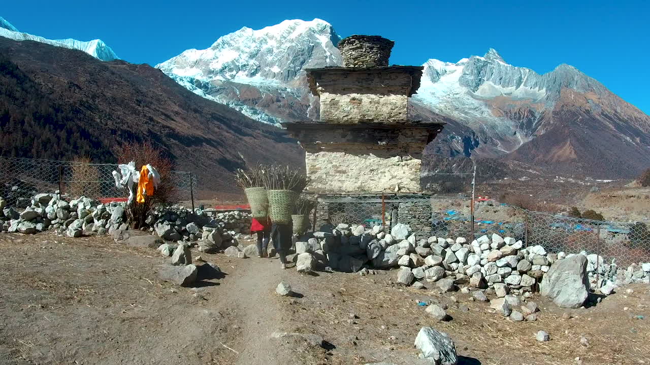 Daily life in the Himalayan region of Nepal. Locals carry wooden logs in a basket on their back to the village for firewood and livestock. Mount Manaslu in the background