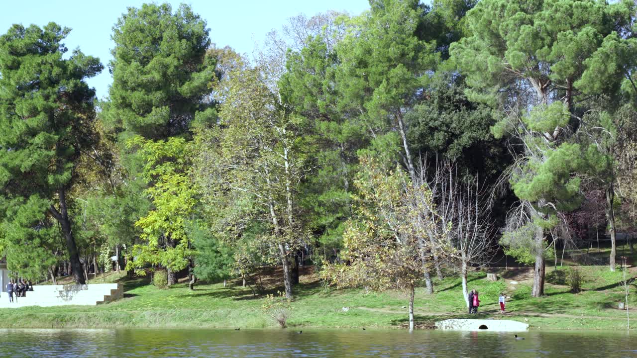 parque con pinos verdes, arce sin hojas y hierba verde bañada por un lago tranquilo, frío día de otoño con cielo despejado, gente caminando por senderos estrechos