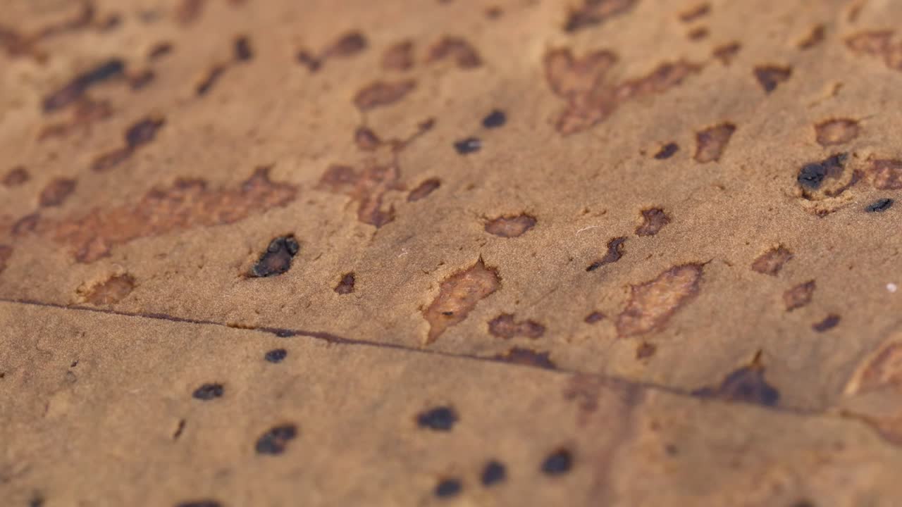 재활용 코르크 재료 표면의 회전 샷