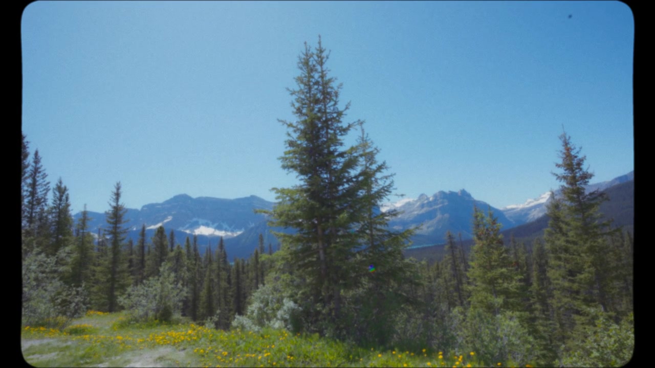 Trees and mountain peaks in Canada