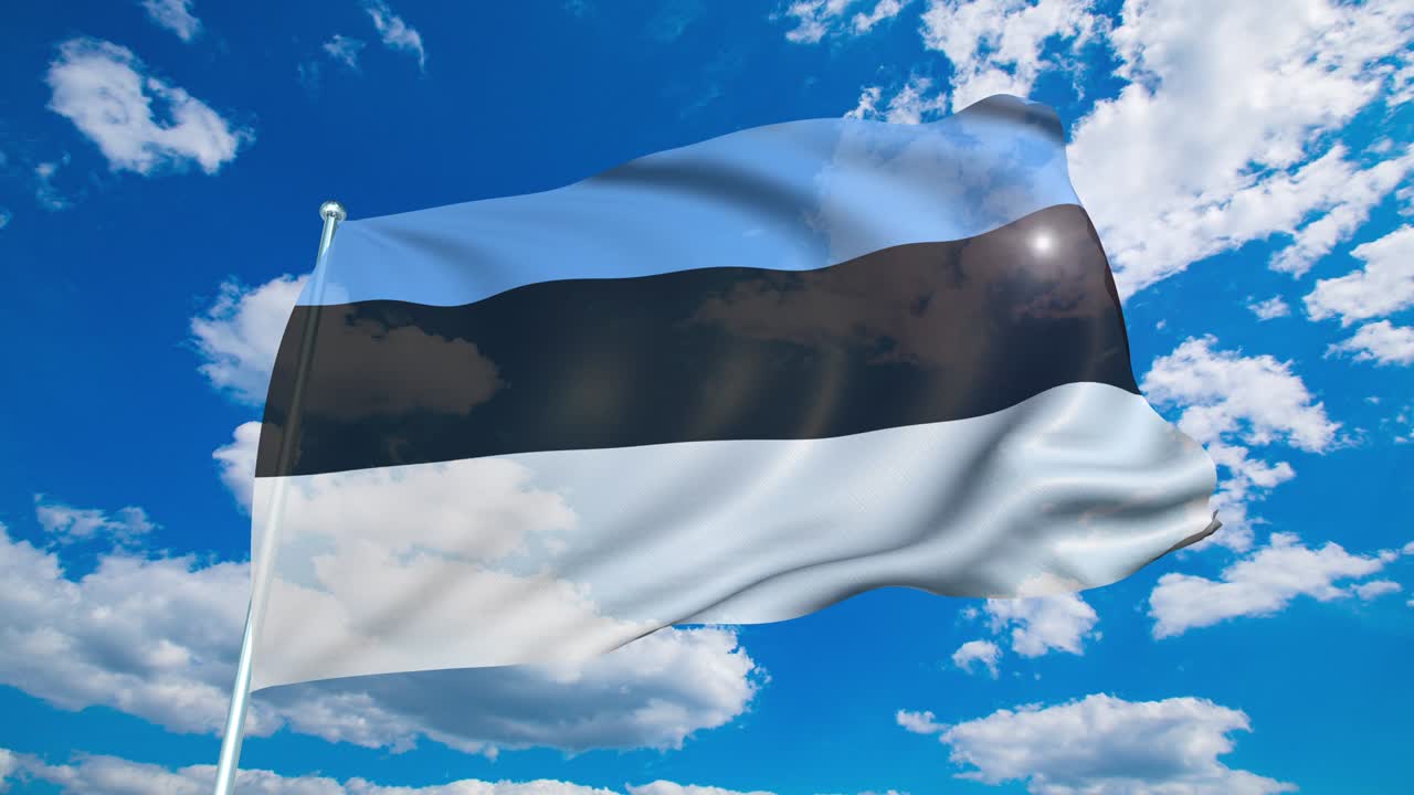 bandera de estonia con estructura de tela contra un cielo nublado (en bucle)