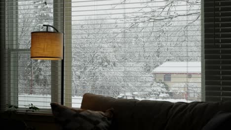 viewing snowfall out of a window from indoors in the winter