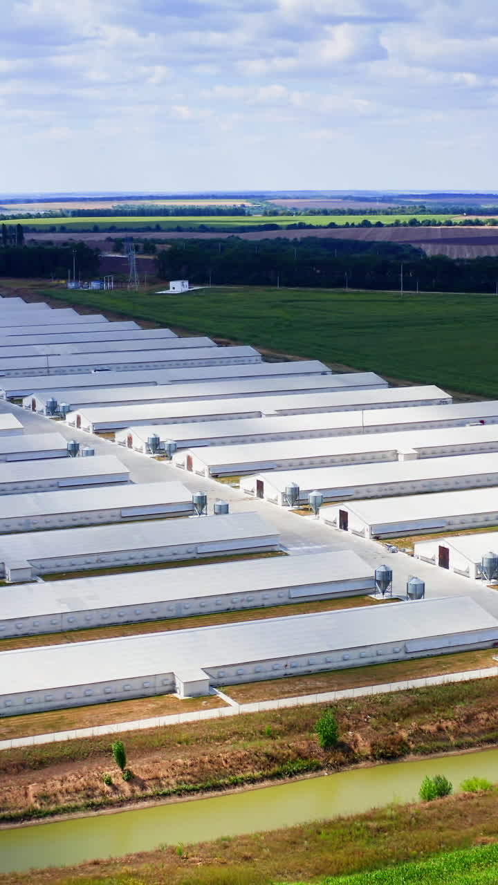 White farm houses on beautiful nature background. Modern barns on green field. Large territory of agricultural complex in rural place. Vertical video