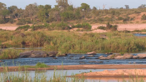 the crocodile river