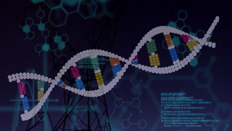 dna helix model being visualized in digital biotech scene, with hexagon graphics and code overlays