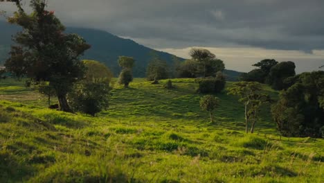 un panorama verde iluminado por el sol con campos de hierba, árboles y montañas lejanas bajo un cielo cubierto de nubes, que personifica el concepto de belleza natural intacta