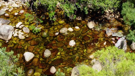 Fischer-Fliegenfischen-Im-Fluss